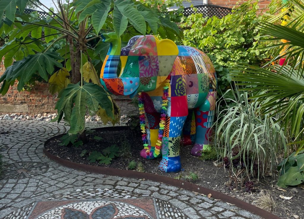 The Elephant Rooms wellbeing centre