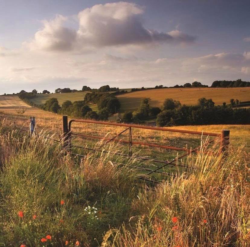 views over the fields near ockbrook